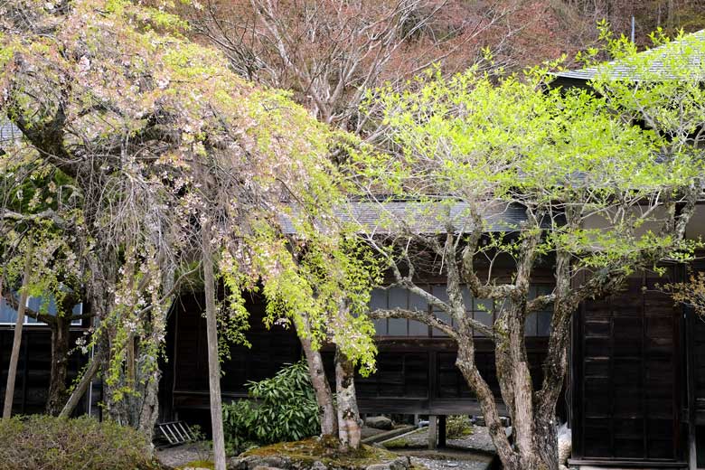 龍泉寺